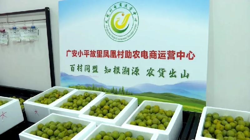 岳池電商興農(nóng) 平臺(tái)運(yùn)營(yíng)賦能農(nóng)產(chǎn)品“觸網(wǎng)”生金